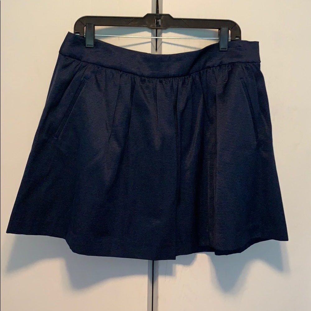 Banana Repblic Skirt